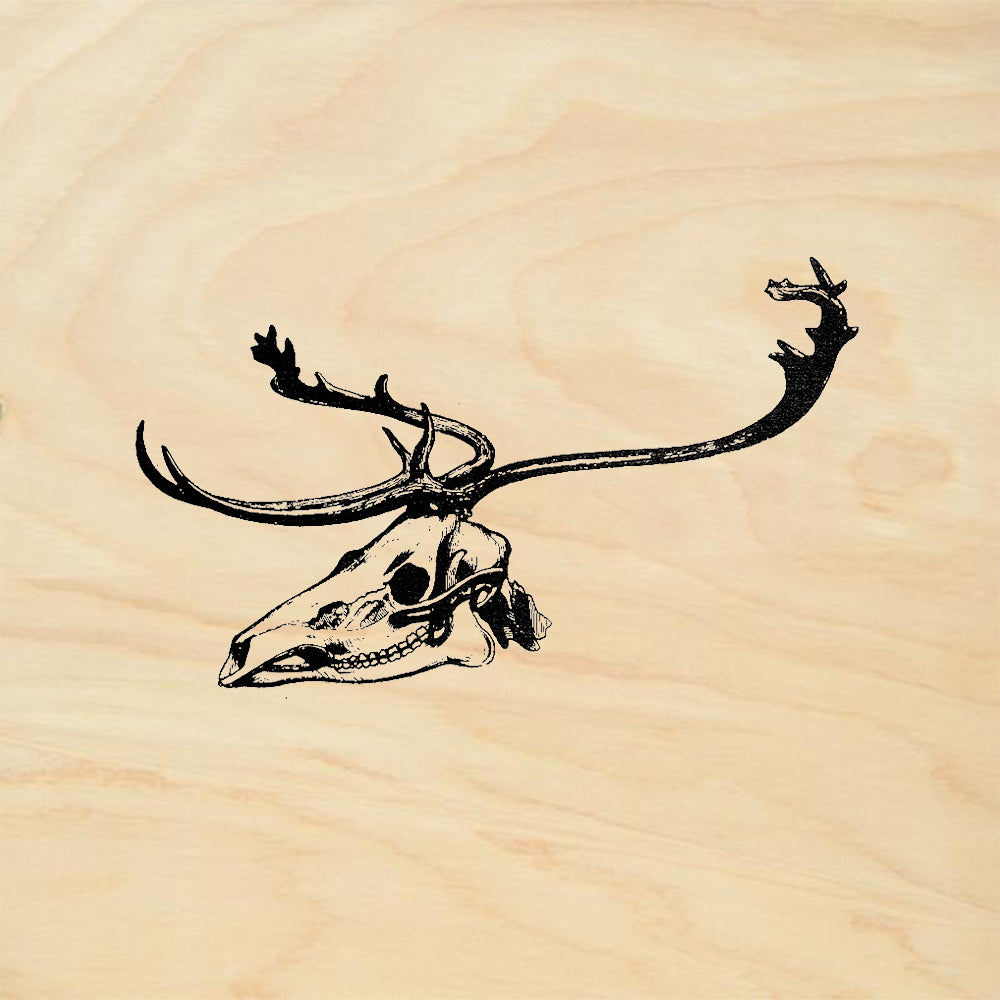 StampaFe Caribou Skull Nature Rubber Art Stamp