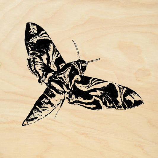 StampaFe Moth Nature Rubber Art Stamp