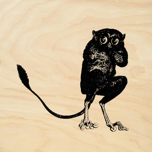 StampaFe Crepuscular Critter Nature Rubber Art Stamp