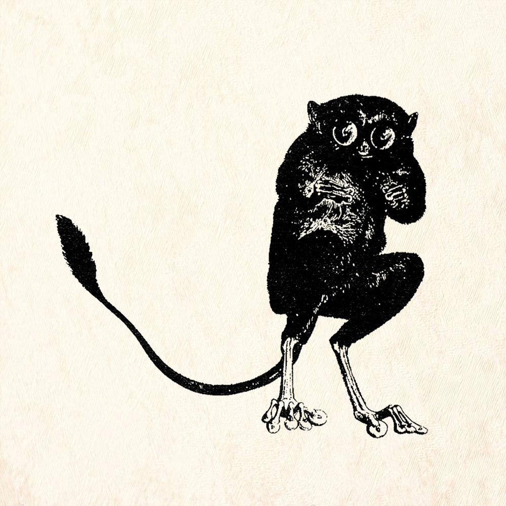StampaFe Crepuscular Critter Nature Rubber Art Stamp