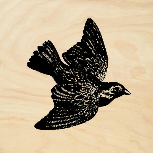 StampaFe Blackbird Nature Rubber Art Stamp