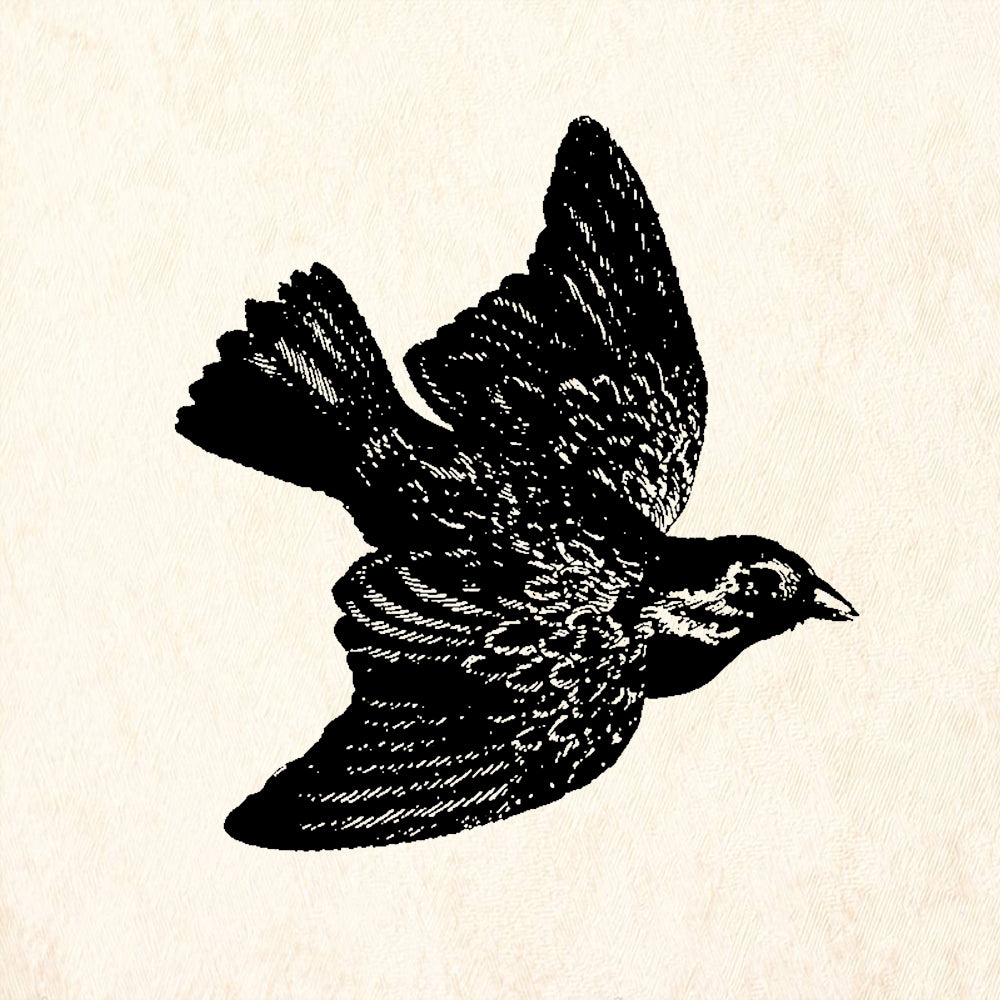 StampaFe Blackbird Nature Rubber Art Stamp