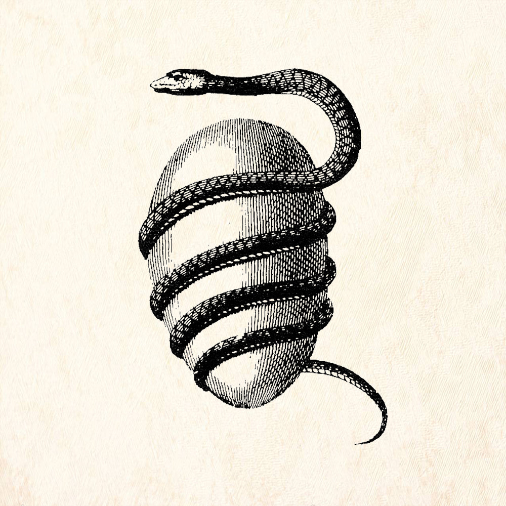 StampaFe Snake and Egg Left Nature Rubber Art Stamp