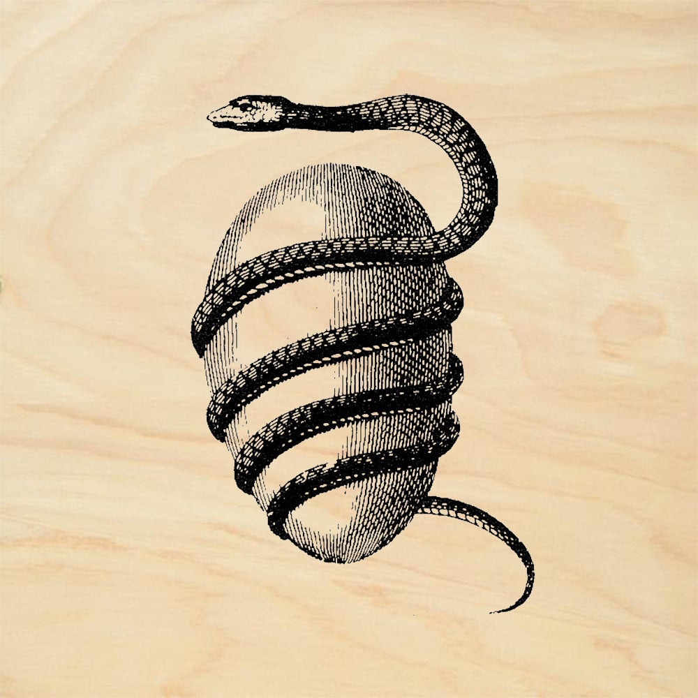 StampaFe Snake and Egg Left Nature Rubber Art Stamp