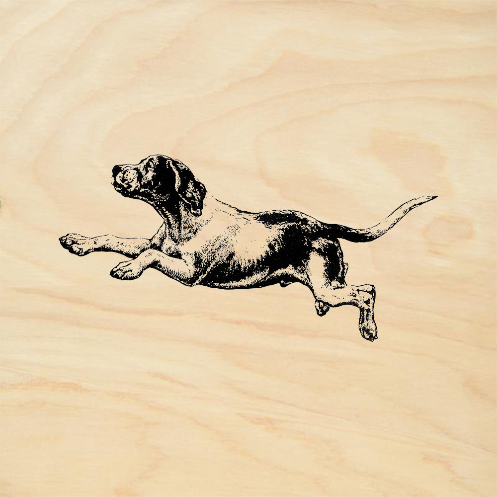 StampaFe Dream Dog Animal Rubber Art Stamp