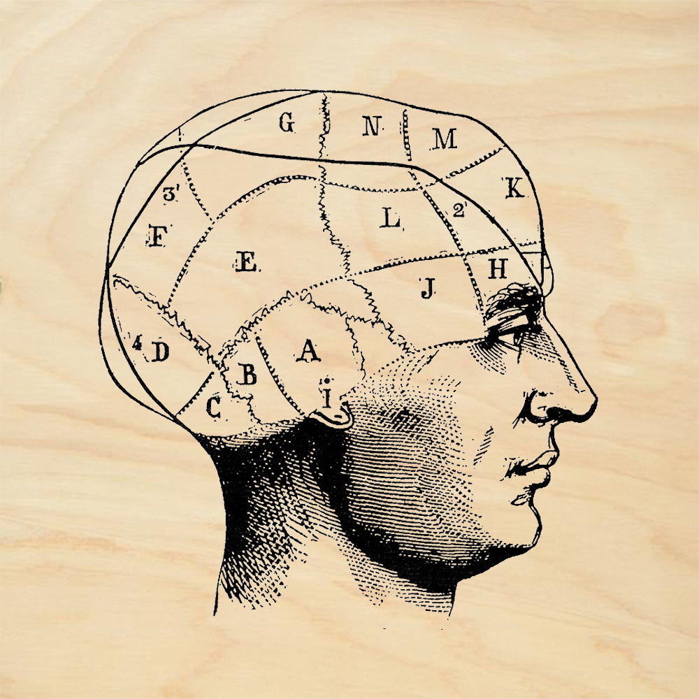 StampaFe Vintage Categorical Perception Phrenology Rubber Art Stamp