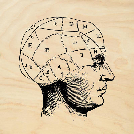 StampaFe Categorical Perception Vintage Rubber Art Stamp