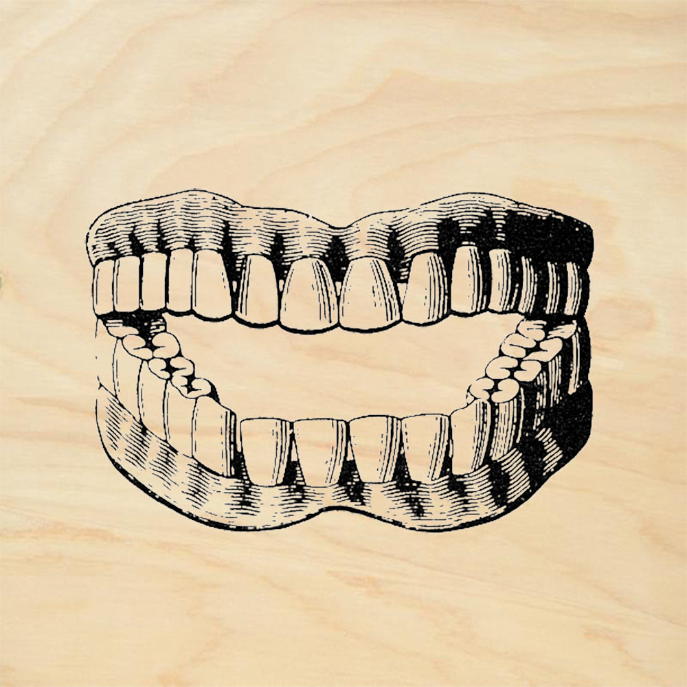 StampaFe False Teeth Dentures Vintage Humor Rubber Art Stamp