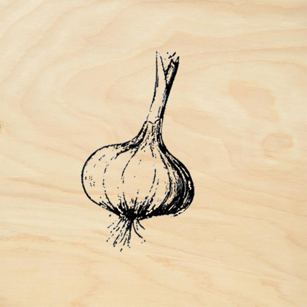 StampaFe Garlic Bulb Kitchen Herb Rubber Art Stamp