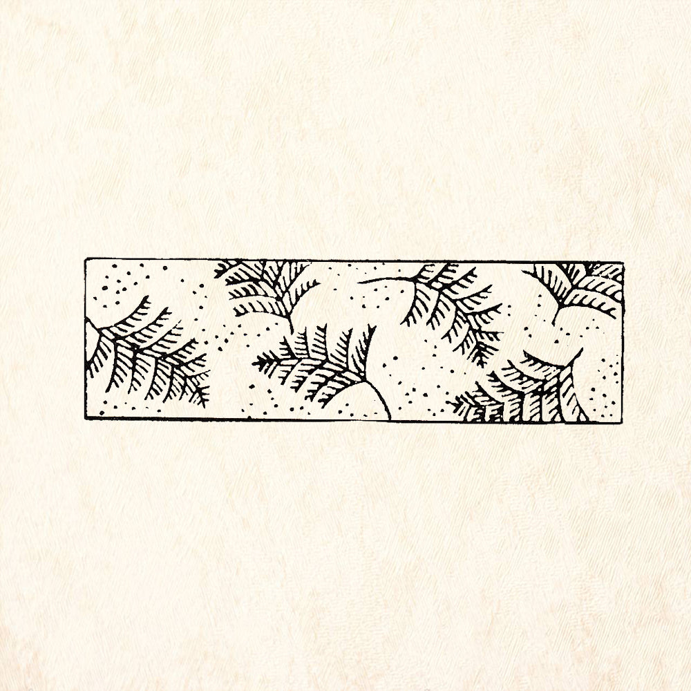 StampaFe Fern Border Fern Fronds Nature Border Rubber Art Stamp