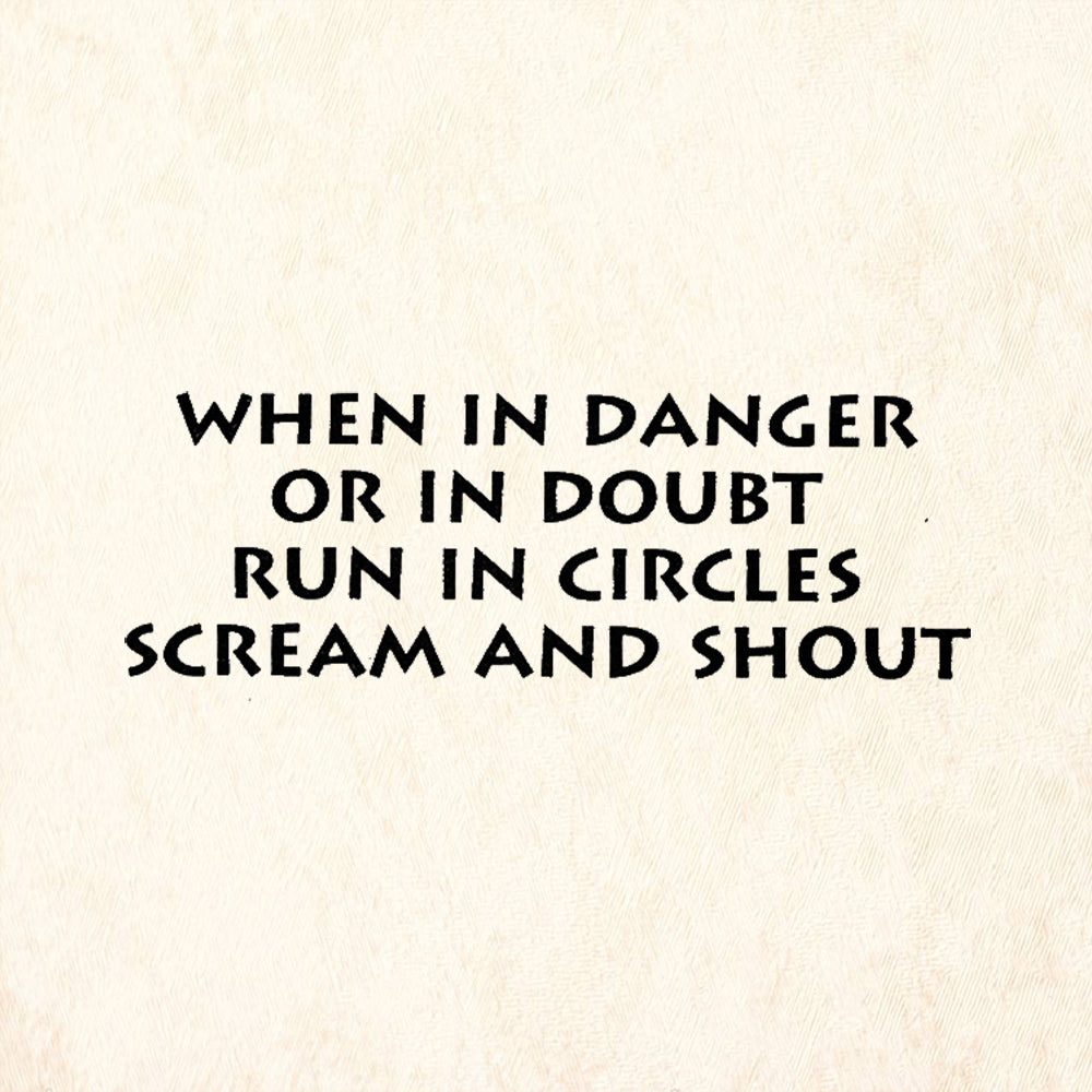 StampaFe When In Danger Or In Doubt Run In Circles Scream Shout Rubber Art Stamp