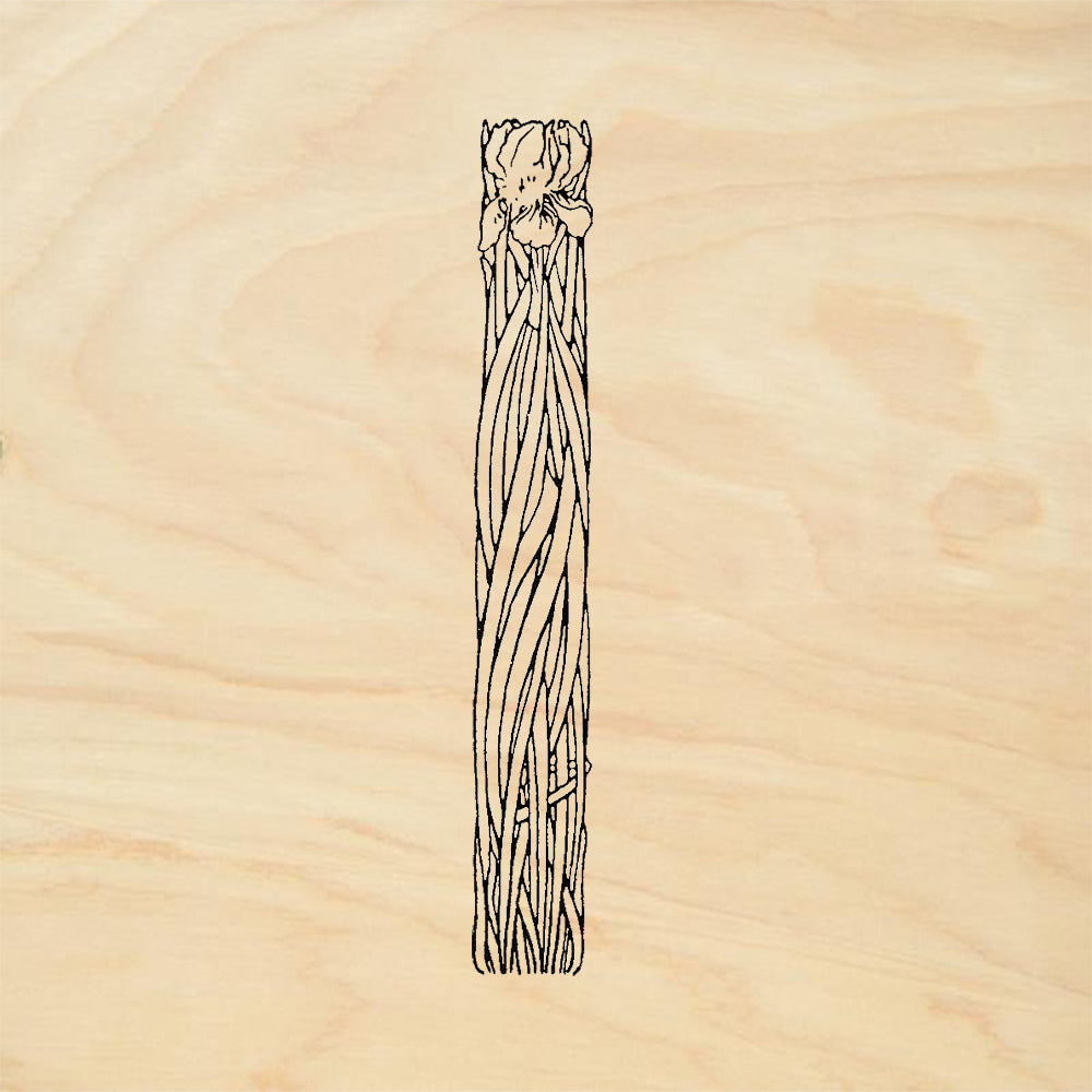 StampaFe Iris Border 2 Tall Vertical Iris Flower Rubber Art Stamp