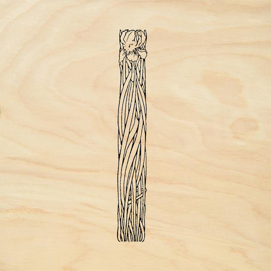 StampaFe Iris Border 2 Tall Vertical Iris Flower Rubber Art Stamp