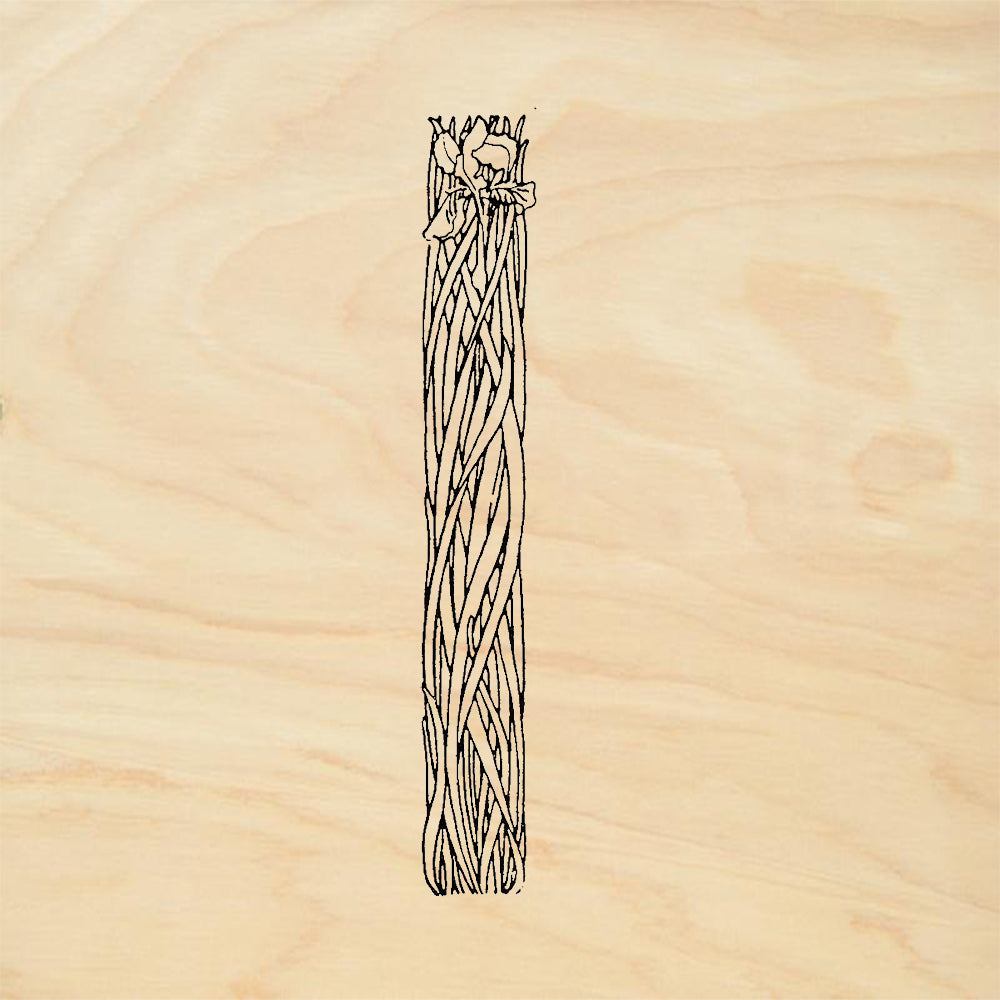 StampaFe Iris Border 1 Tall Vertical Iris Flower Rubber Art Stamp