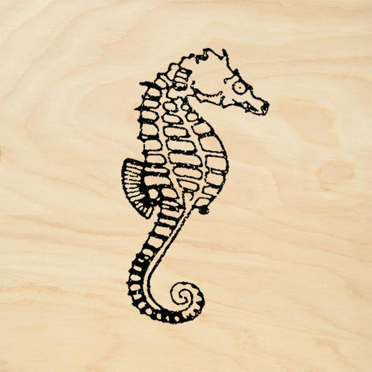 StampaFe Seahorse Big Right Detailed Seahorse Ocean Rubber Art Stamp