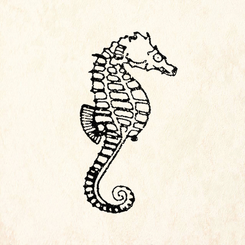 StampaFe Big Seahorse Right Ocean Rubber Art Stamp