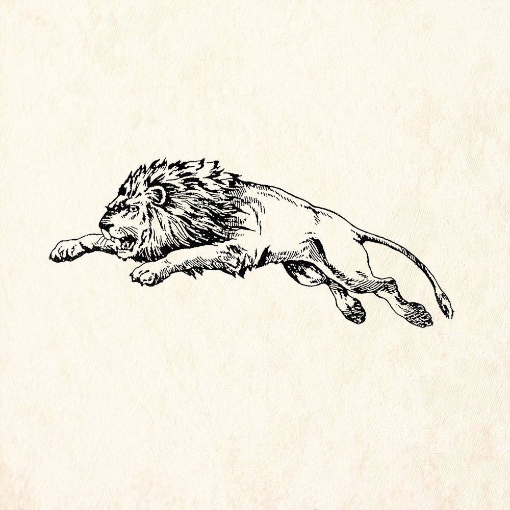 StampaFe Leaping Lion Left Powerful Animal Rubber Art Stamp