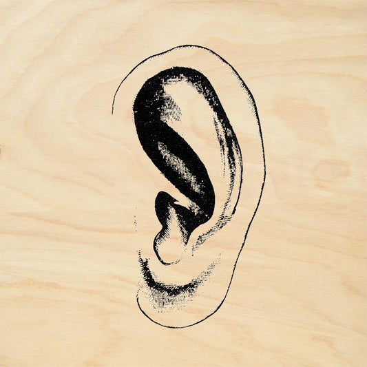 StampaFe Ear Left Human Ear Anatomy Detailed Rubber Art Stamp