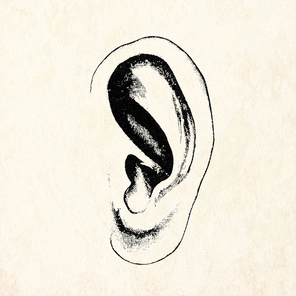 StampaFe Ear Left Human Anatomy Rubber Art Stamp