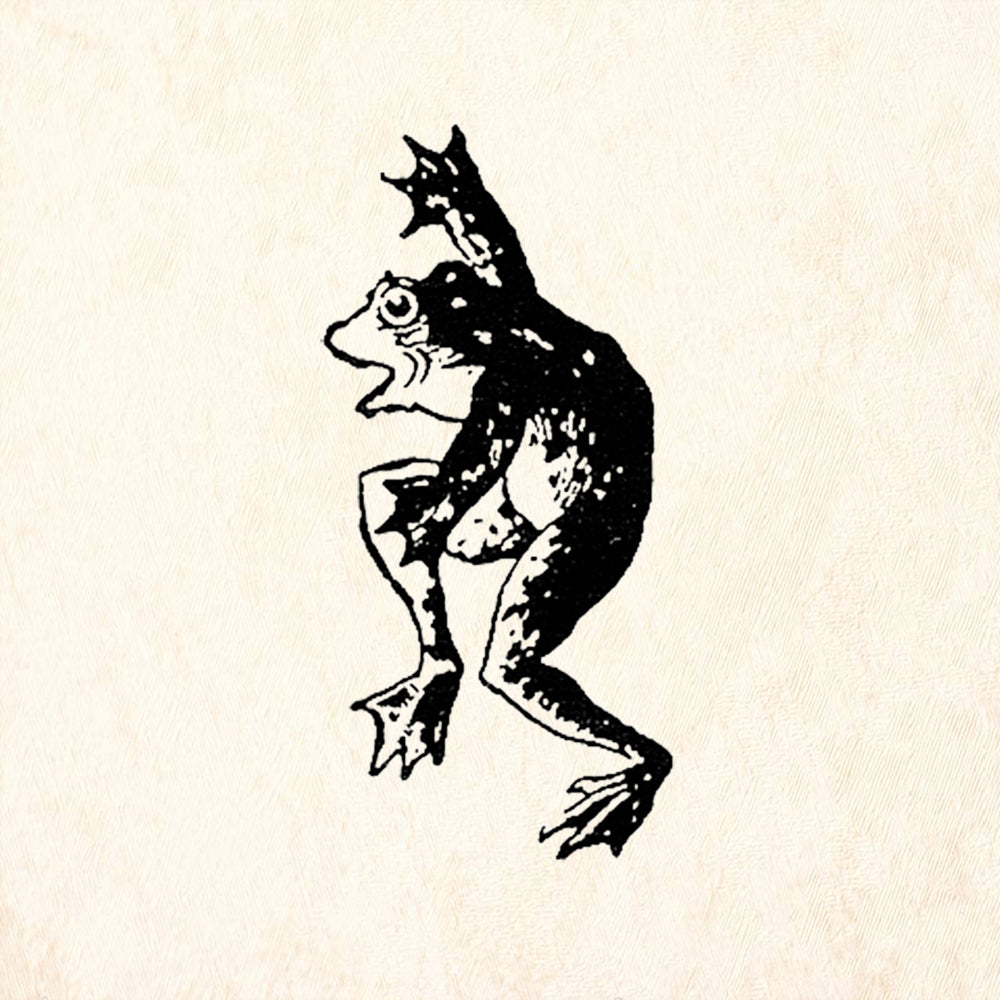 StampaFe Dancing Frog Left Cartoon Rubber Art Stamp