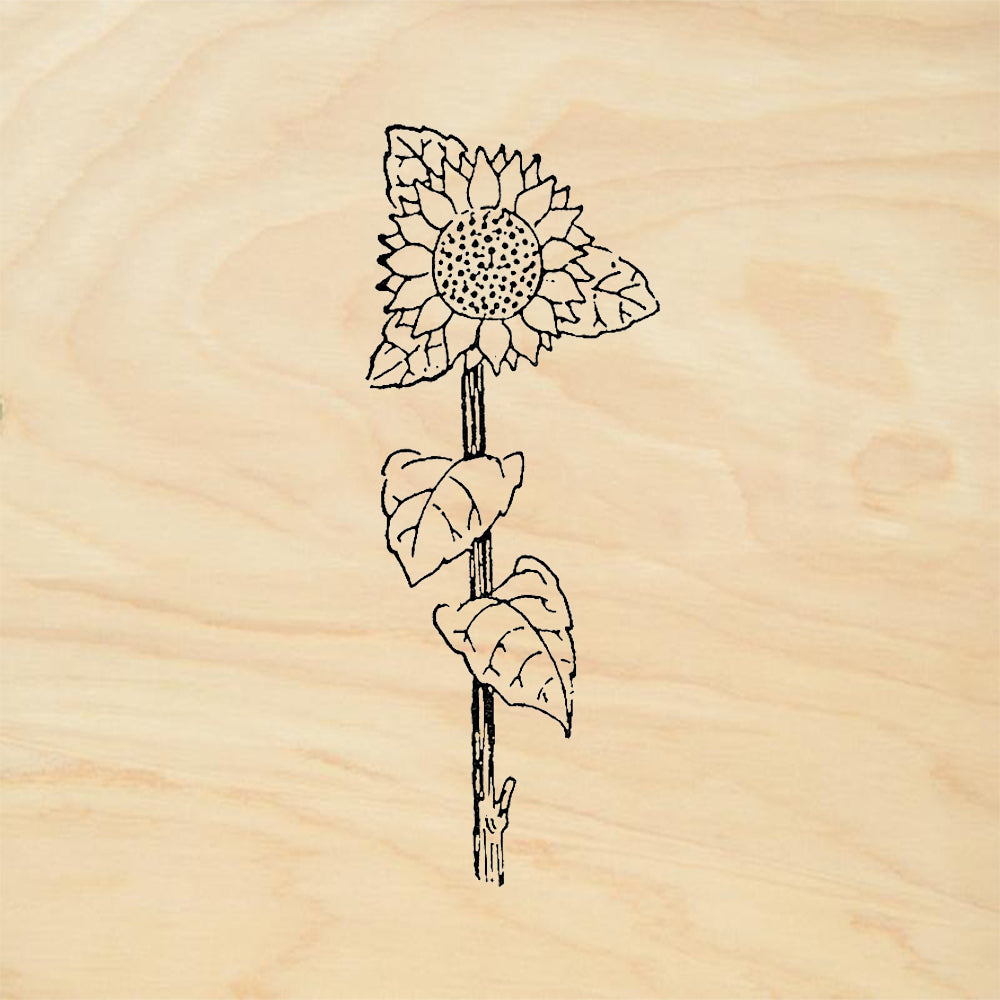 StampaFe Sun Flower Little Sunflower Botanical Rubber Art Stamp