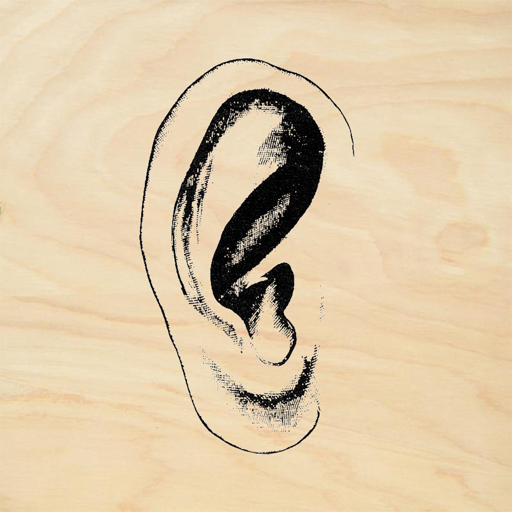 StampaFe Ear Right Human Anatomy Rubber Art Stamp