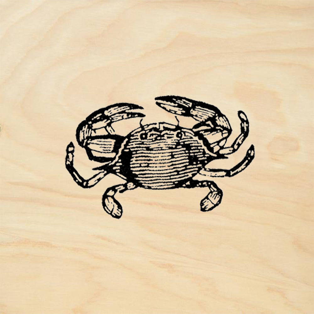 StampaFe Tiny Crab Ocean Rubber Art Stamp