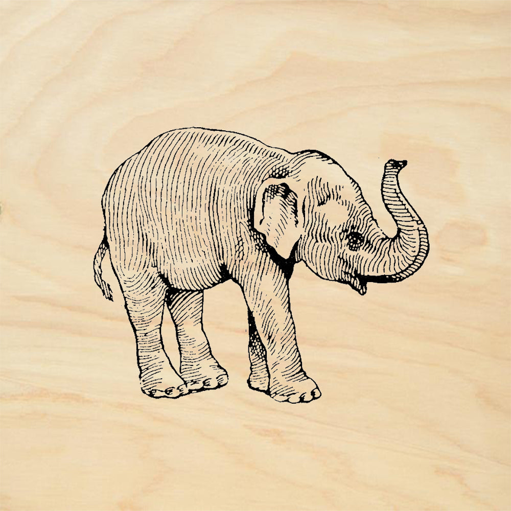 StampaFe Baby Elephant Right Young Elephant Wildlife Rubber Art Stamp