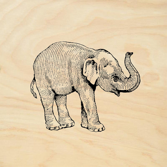 StampaFe Baby Elephant Right Young Elephant Wildlife Rubber Art Stamp