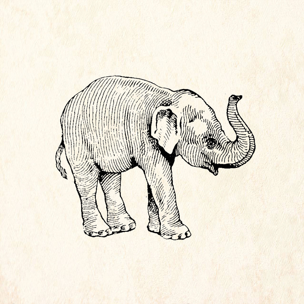 StampaFe Baby Elephant Right Wildlife Rubber Art Stamp