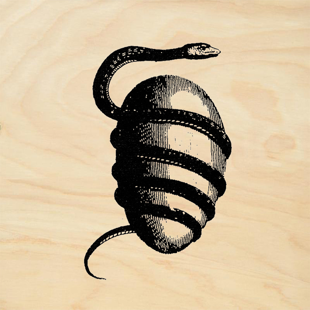 StampaFe Snake and Egg Right Coiled Snake Serpent Rubber Art Stamp