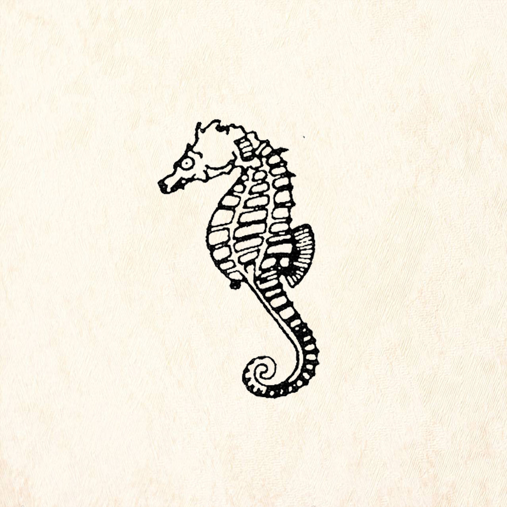 StampaFe Medium Seahorse Left Ocean Rubber Art Stamp