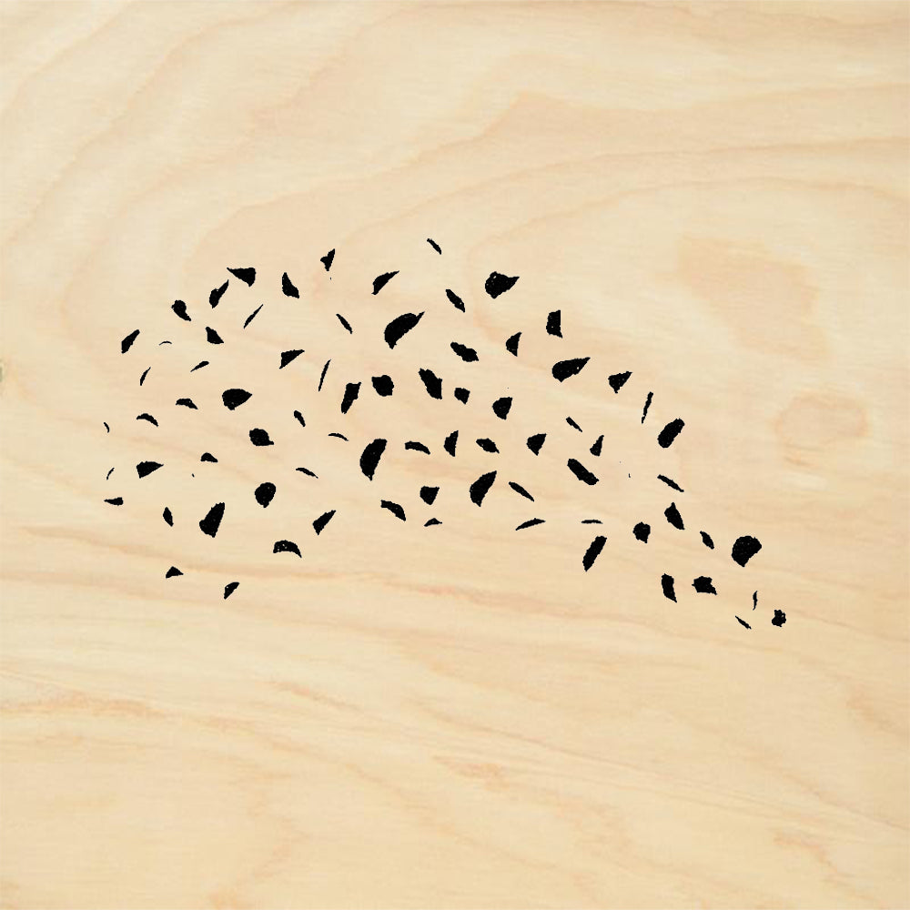 StampaFe Confetti Scattered Party Pieces Rubber Art Stamp