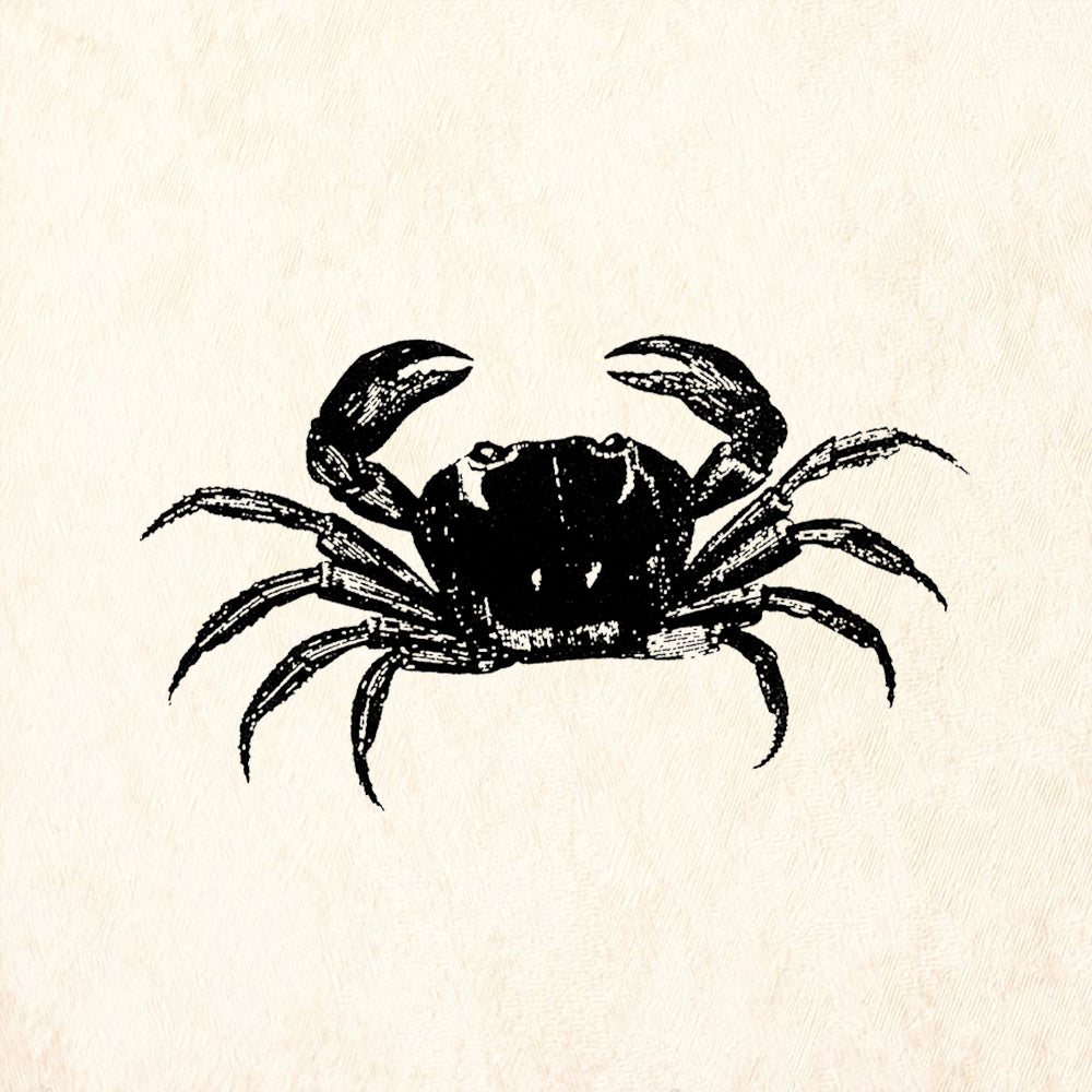 StampaFe Medium Crab Ocean Rubber Art Stamp
