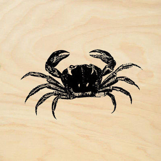 StampaFe Crab Medium Detailed Crab Ocean Nautical Rubber Art Stamp