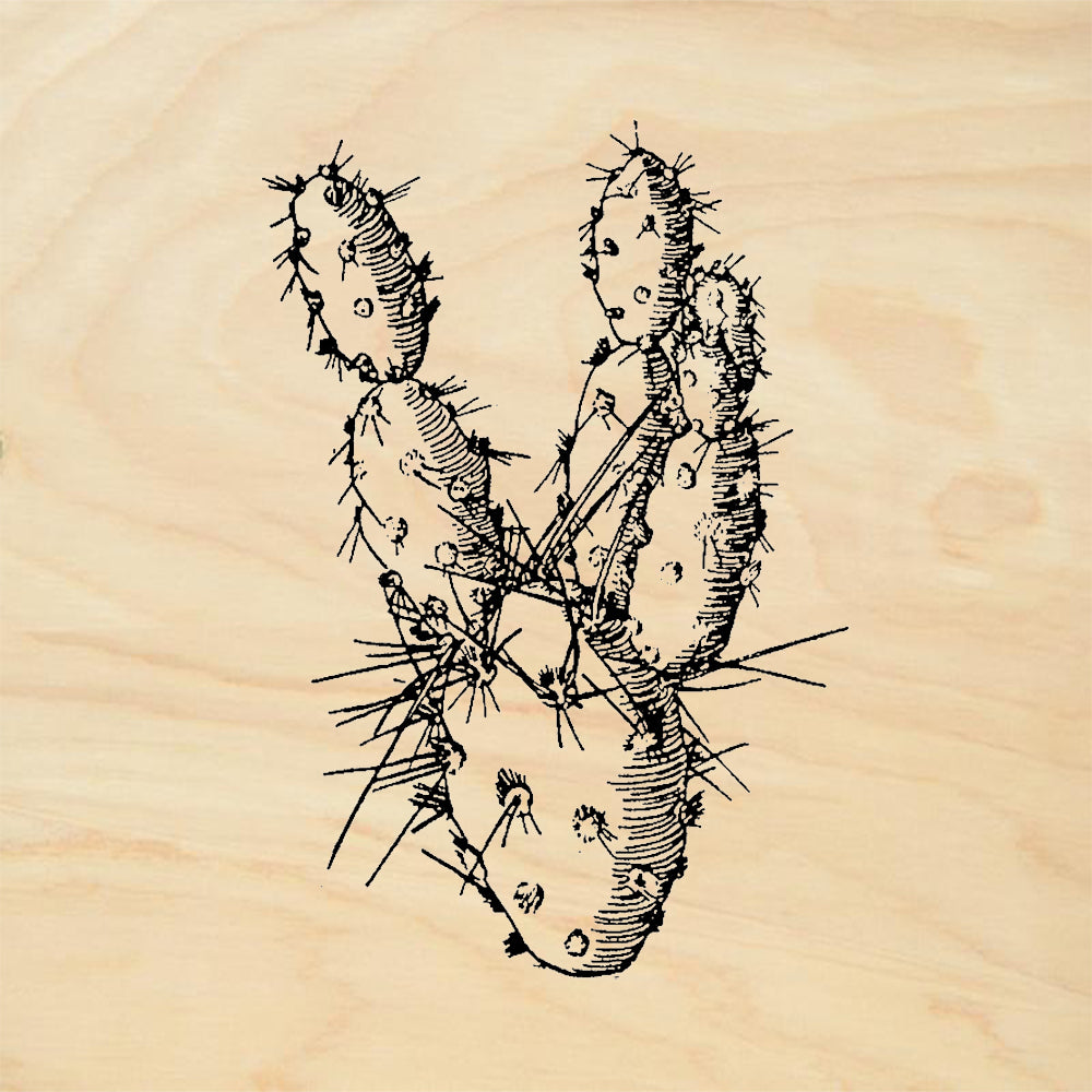 StampaFe Prickly Cactus Prickly Pear Cactus Desert Rubber Art Stamp