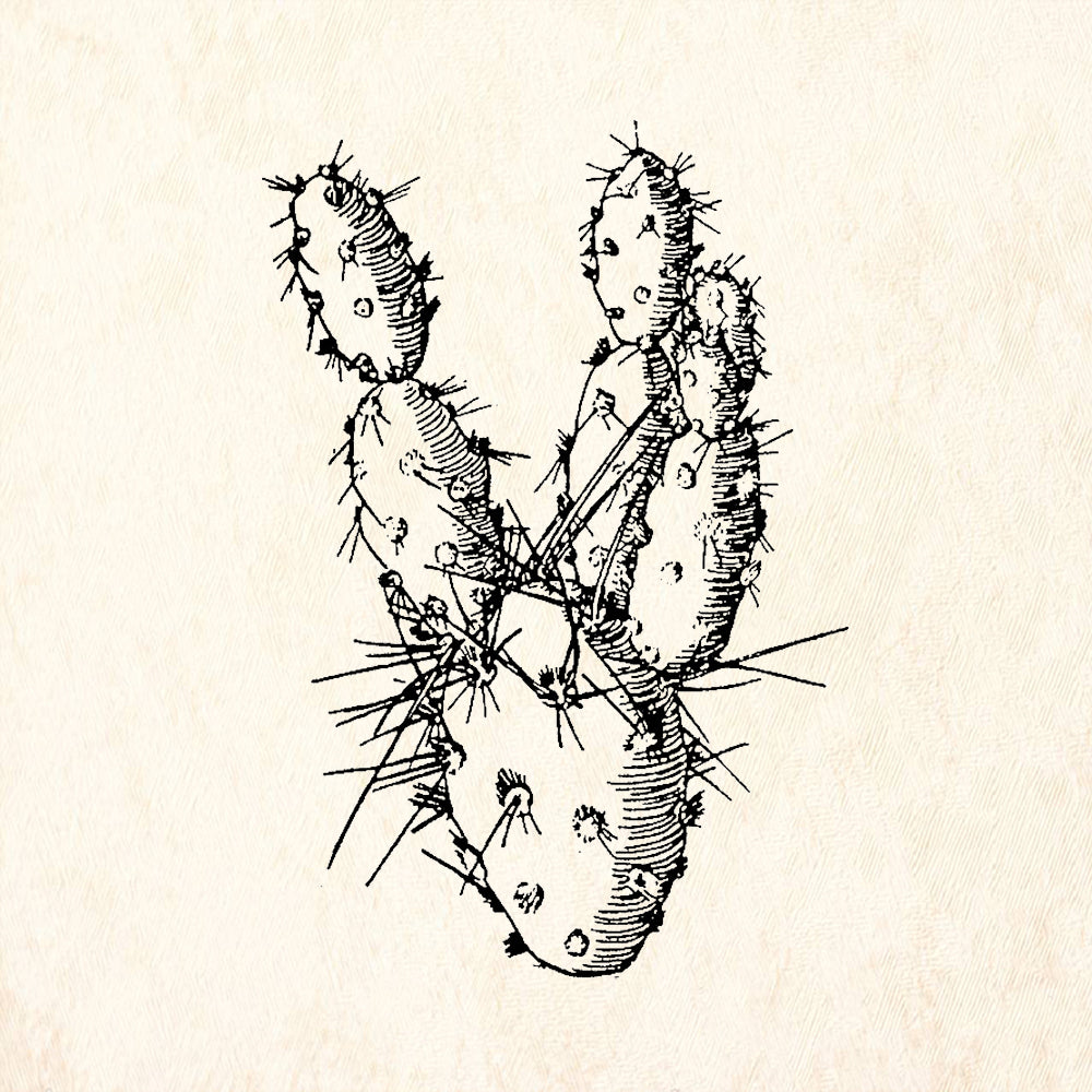 StampaFe Prickly Pear Cactus Desert Rubber Art Stamp