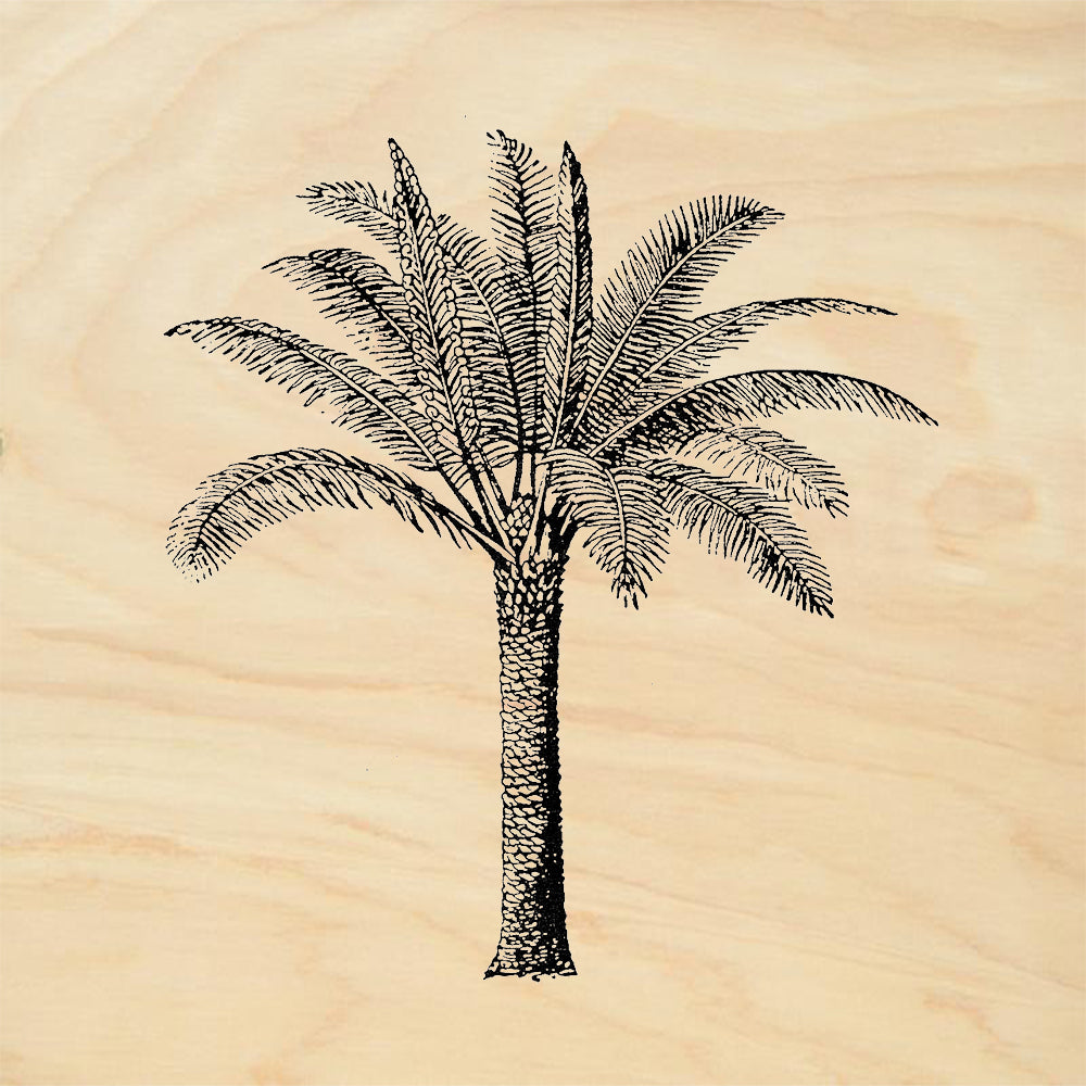 StampaFe Large Palm Tree Tropical Rubber Art Stamp