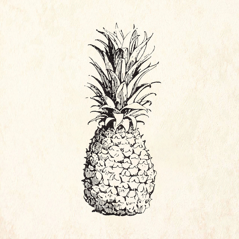 StampaFe Pineapple Detailed Fruit Rubber Art Stamp