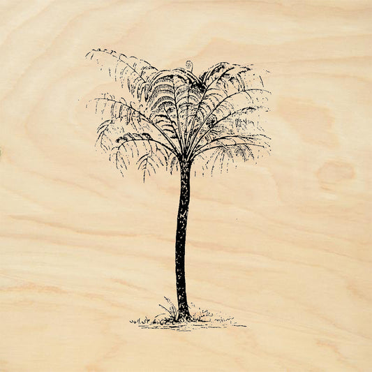 StampaFe Tree Fern Tall Tree Fern Tropical Botanical Rubber Art Stamp