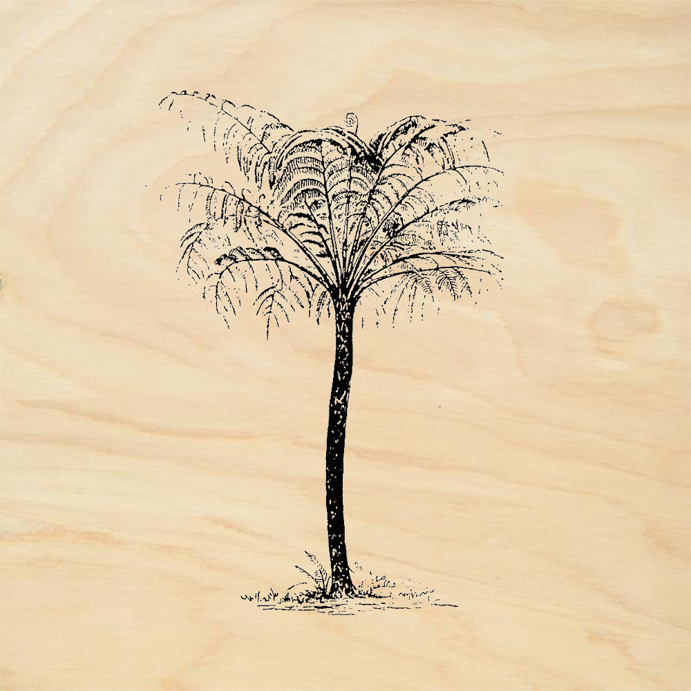 StampaFe Tree Fern Tall Tropical Botanical Rubber Art Stamp