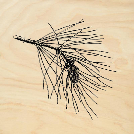 StampaFe Pine Branch Right Long Needle Pine Branch Rubber Art Stamp