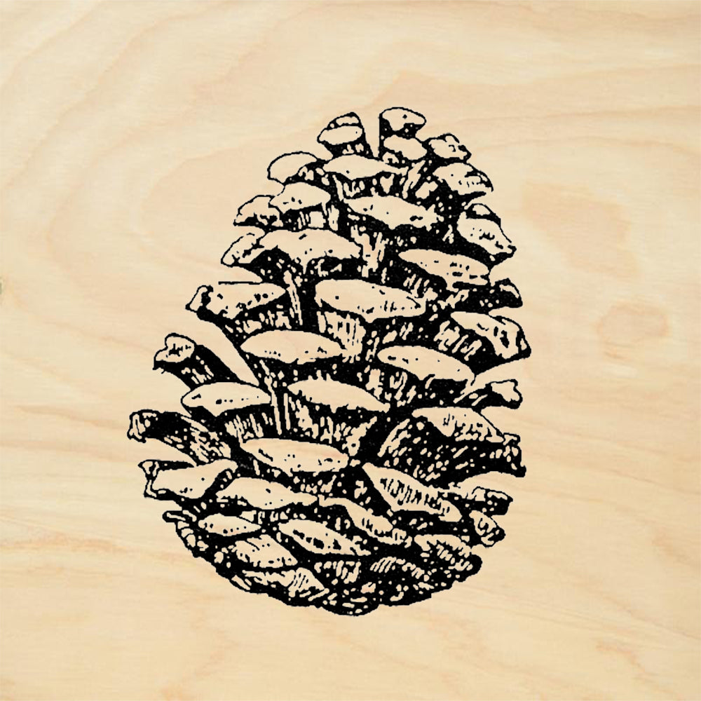 StampaFe Pine Cone Detailed Pine Cone Botanical Rubber Art Stamp