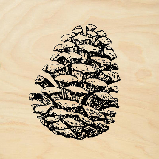 StampaFe Pine Cone Detailed Pine Cone Botanical Rubber Art Stamp