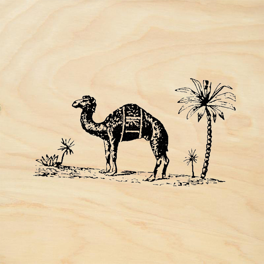 StampaFe Dromedary Camel Desert Palm Tree Rubber Art Stamp