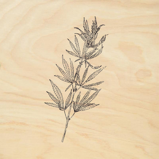 StampaFe Cannabis Plant Rubber Art Stamp