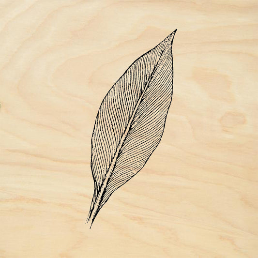 StampaFe Long Leaf Rubber Stamp