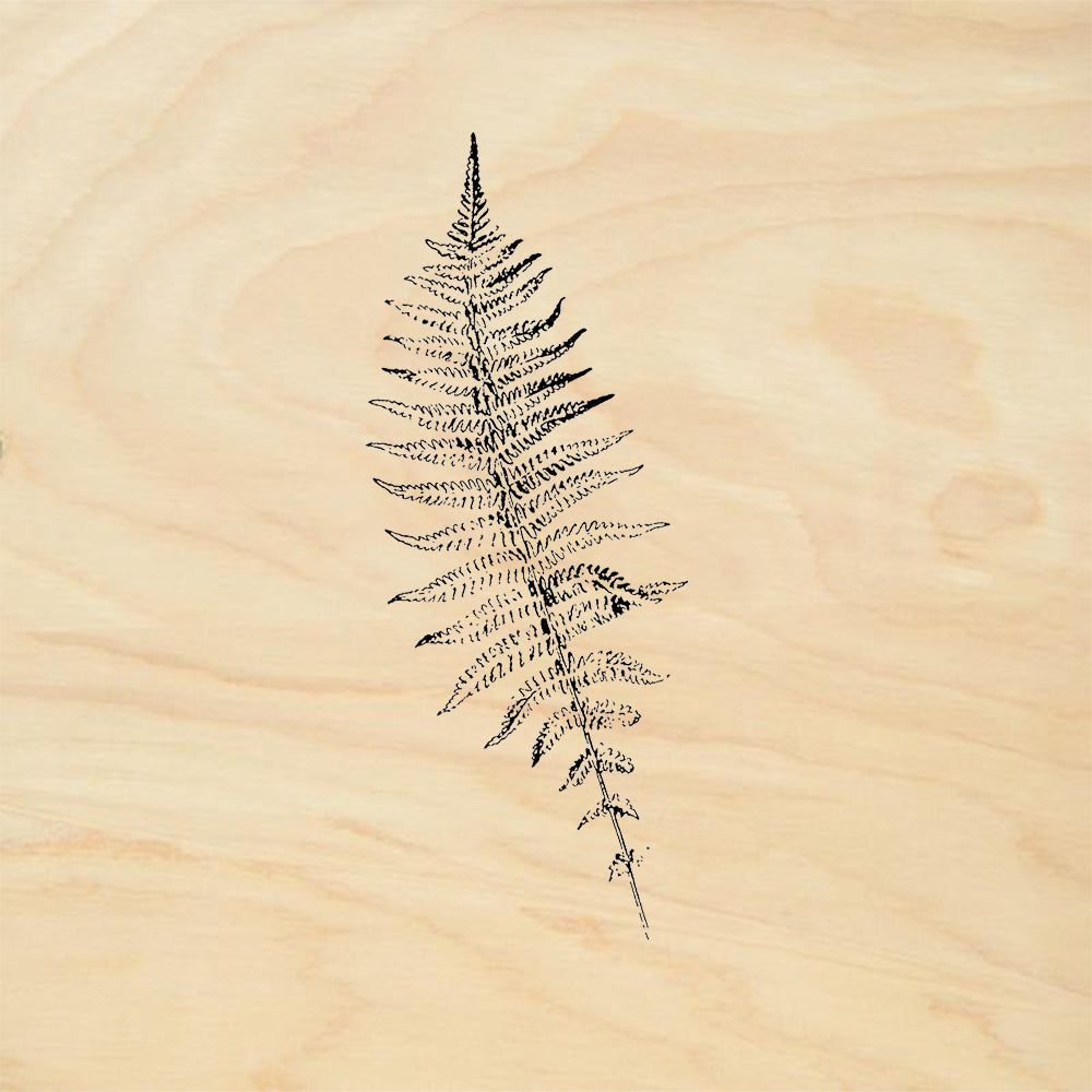 StampaFe Fern Frond Rubber Stamp