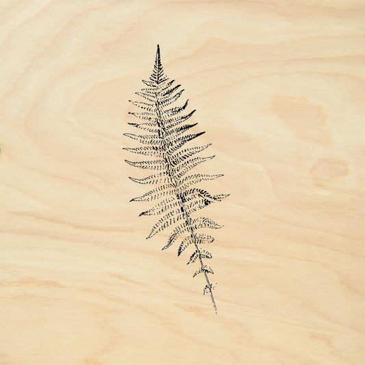 StampaFe Fern Frond Rubber Stamp