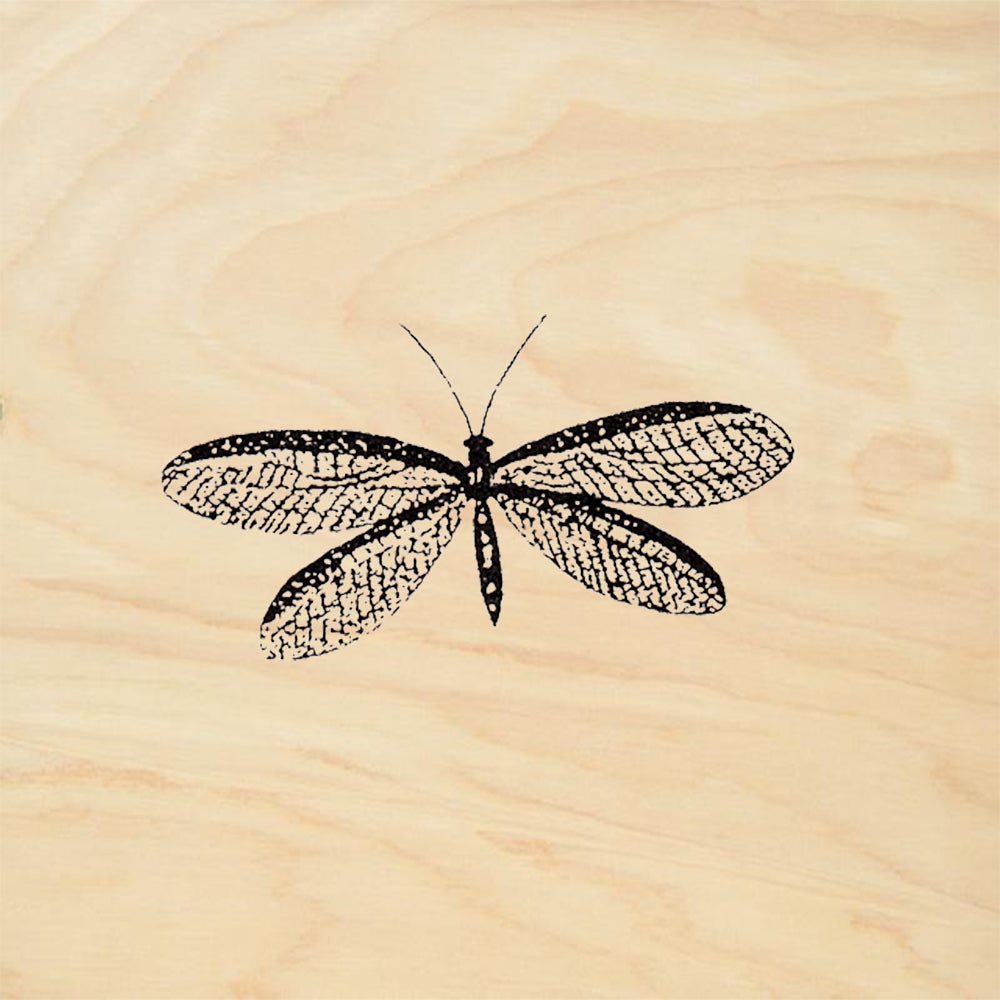 StampaFe May Fly Detailed Winged Insect Rubber Art Stamp